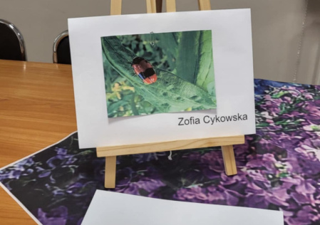 4 Laureat konkursu 2