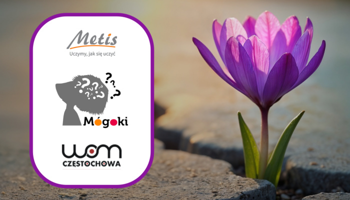 JAK PRACOWAĆ Z DZIEĆMI NAD WYTRWAŁOŚCIĄ?